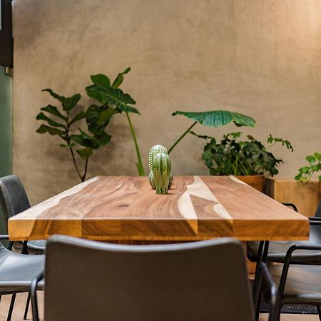 Escandon Suites By Escajal Rooms Mexico City Exteriör bild